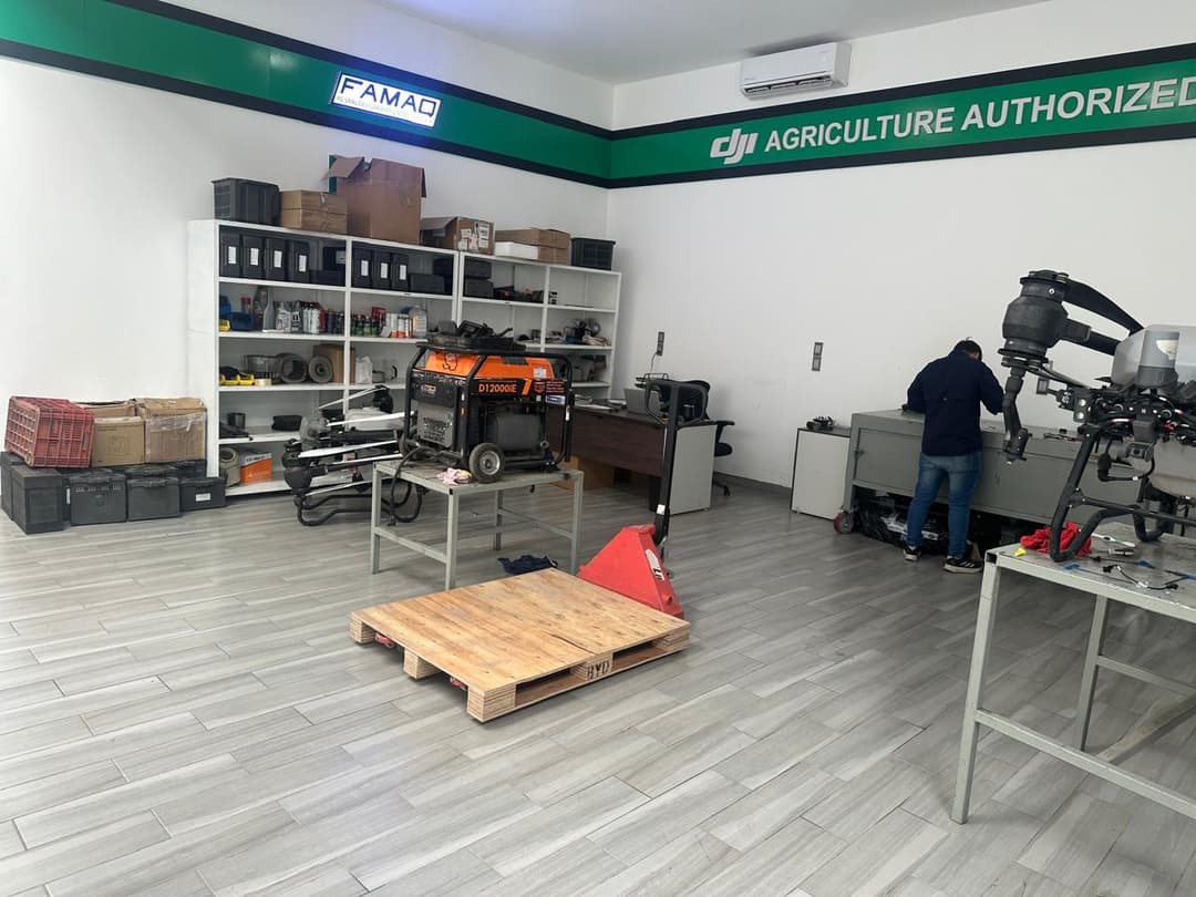 Servicio